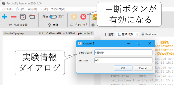 _images/run-expinfo.png