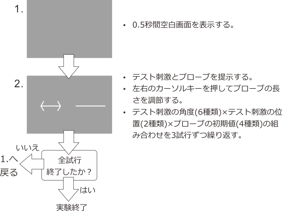 _images/muller-lyer-procedure.png