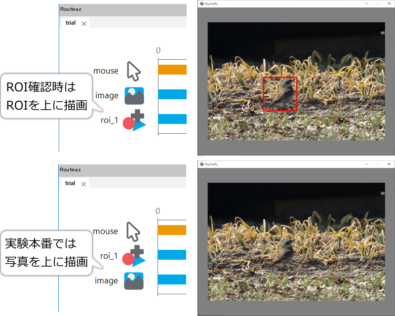 _images/image-roi.png
